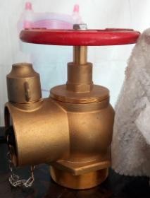 Brass Fire Hydrant view 1
