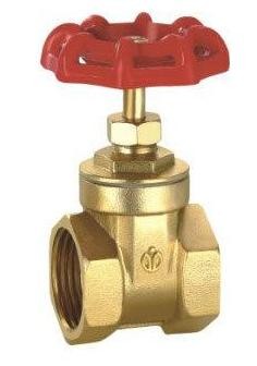 Brass Gate Valve view 1
