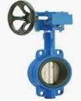 Butterfly Valve With Gear Box Wafer