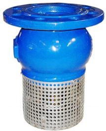 Foot Valve DI New