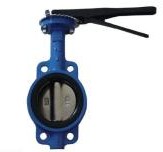 SS316 Butterfly Valve Wafer, PTFE Lined