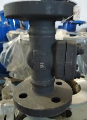 WCB Check Valve Flanged