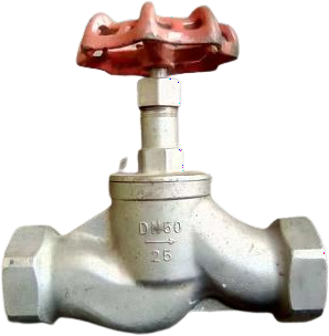 WCB Globe Valve Threaded New view 1