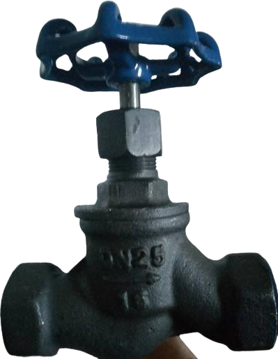 WCB Globe Valve Threaded Old view 1